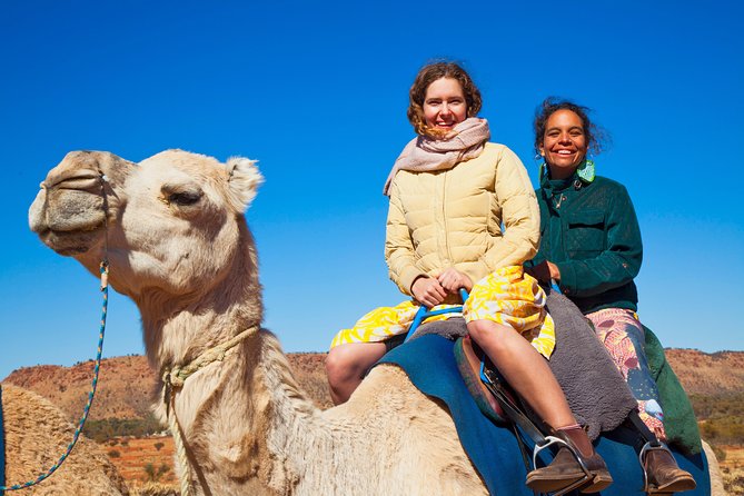 Alice Springs Camel Tour - Sunset vs afternoon: how timing changes the feel