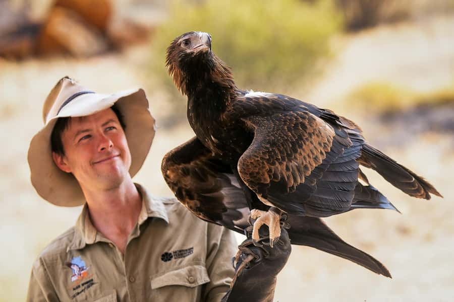 Alice Springs: Desert Park Entry Ticket - Why Alice Springs Desert Park fits so well into 1 day