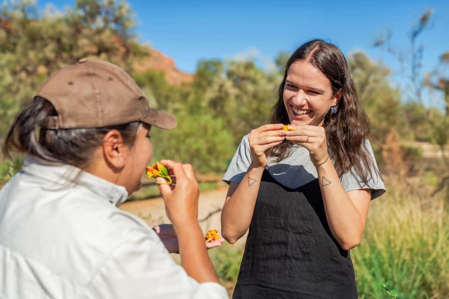 Alice Springs: Desert Park Entry Ticket - Self-guided walking: how the park teaches you to “read” the desert