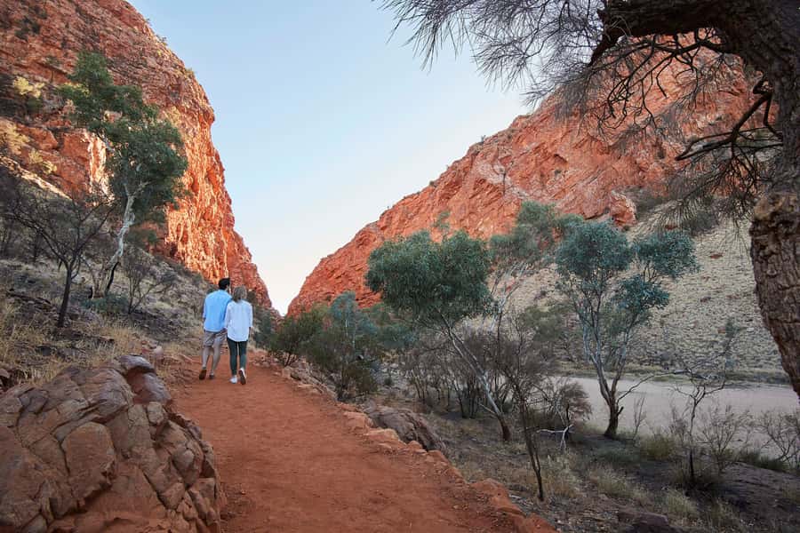 Alice Springs: Town Highlights and West MacDonnell Ranges - Alice Springs Reptile Centre: up close with semi-arid wildlife