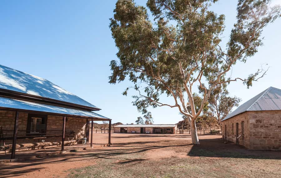 Alice Springs: Town Highlights and West MacDonnell Ranges - From Alice to the West MacDonnell Ranges, in one long, great day