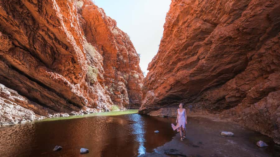 Alice Springs: Town Highlights and West MacDonnell Ranges - Standley Chasm and Angkerle Atwatye: a sacred canyon with microclimate surprises
