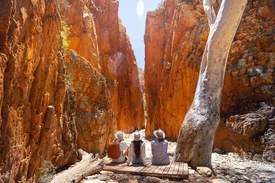 Alice Springs: West MacDonnell Ranges Day Tour with Lunch - Simpsons Gap: Early Morning Dreaming Stories and Wildlife Water
