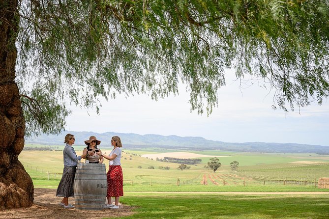 All Inclusive Barossa Valley Food and Wine Tour - Coach Time, Start Time, and How the 8 Hours Typically Feel
