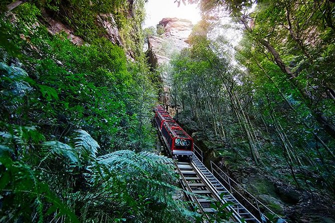 All Inclusive Blue Mountain,Scenic World,Lunch,Koalas,ferry - The Three Sisters stop: culture-first viewpoints and photo angles
