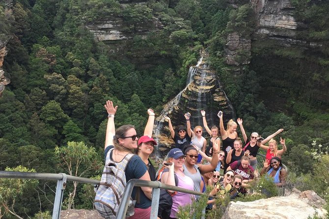 All Inclusive Blue Mountain,Scenic World,Lunch,Koalas,ferry - Lunch with dietary needs that do not feel like an afterthought
