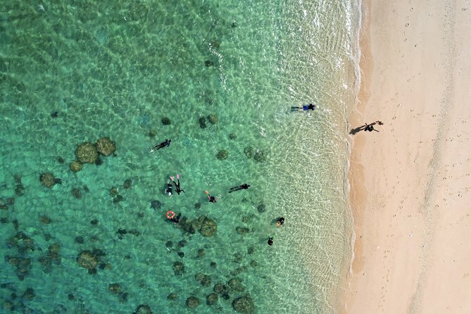 All Inclusive Day Tour to Frankland Islands Great Barrier Reef - The guided island walk, sand stars, and learning what you’re seeing