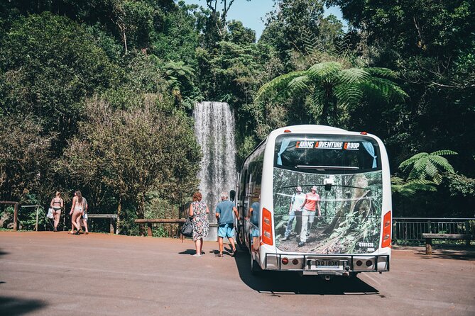 All Inclusive Waterfalls and Rainforest Tour from Cairns - Lake Eacham Crater Lakes National Park: turtles and a last swim