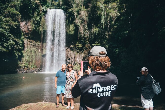 All Inclusive Waterfalls and Rainforest Tour from Cairns - Wildlife chances: cassowary, platypus, and that rare tree-kangaroo moment