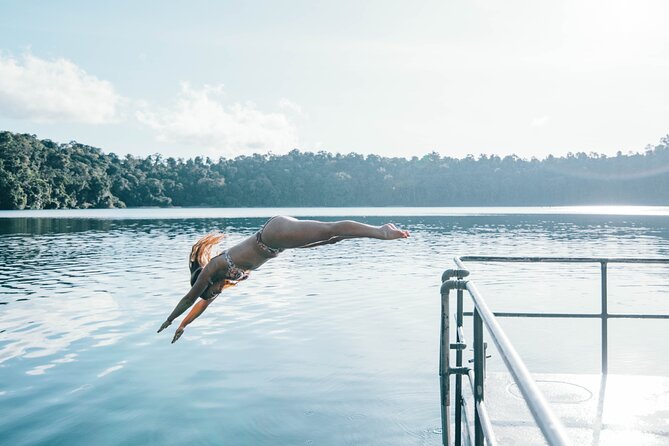 All Inclusive Waterfalls and Rainforest Tour from Cairns - Getting around: air-conditioned comfort plus a full-day rhythm
