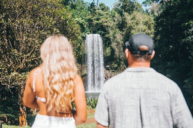 All Inclusive Waterfalls and Rainforest Tour from Cairns - Cathedral Fig Tree and Babinda Boulders: where the rainforest has meaning