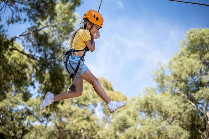 An exciting, Tree Top Adventure for Our Littlest Adventurers - Step-by-Step: From Check-In to Your Final Climb