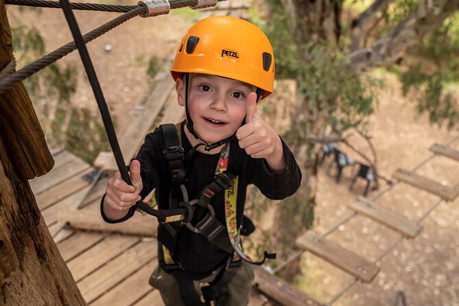 An exciting, Tree Top Adventure for Our Littlest Adventurers - Gloves, Footwear, and Height Rules That Matter