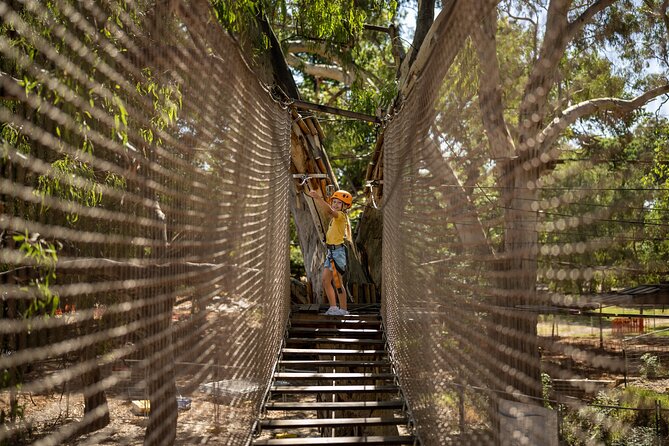 An exciting, Tree Top Adventure for Our Littlest Adventurers - Where It Fits in Your Adelaide Day