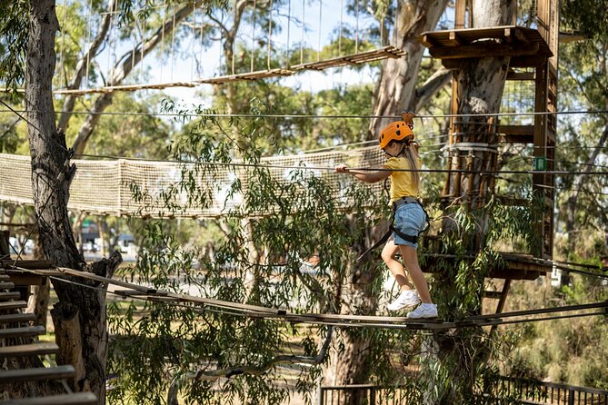 An exciting, Tree Top Adventure for Our Littlest Adventurers - Safety Gear and the Parent Coaching Setup