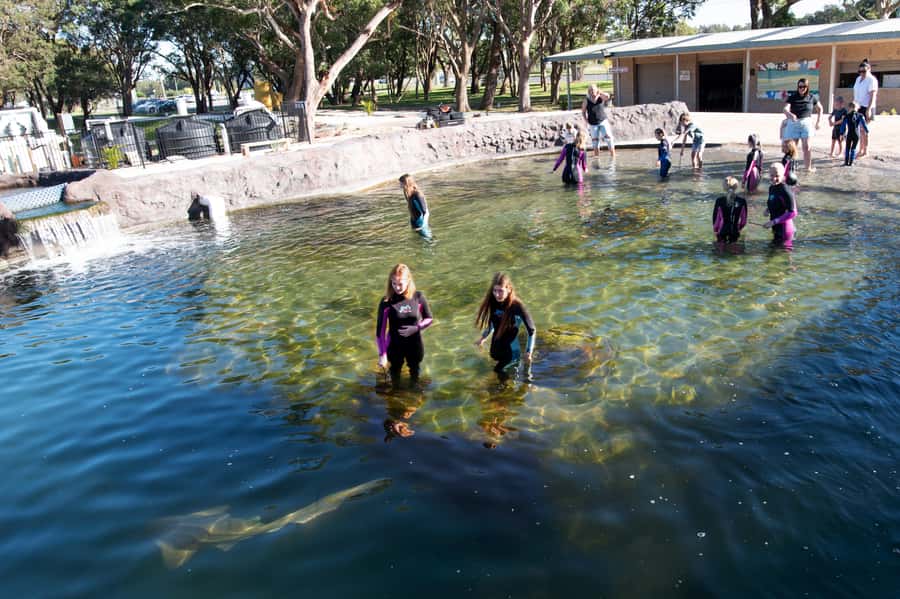 Anna Bay: Irukandji Entry Pass with Shallows Encounter - Tropical Lagoon: Zebra Sharks, Bamboo Sharks, and Reef Sharks