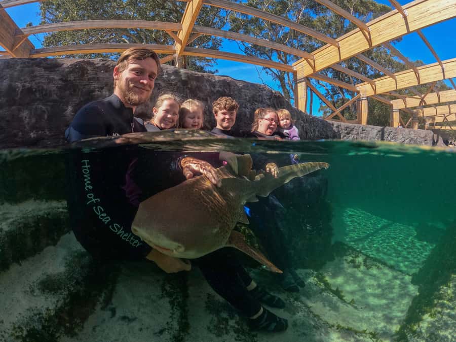 Anna Bay: Irukandji Entry Pass with Zebra Shark Encounter - Irukandji in Anna Bay, where zebra sharks take the lead