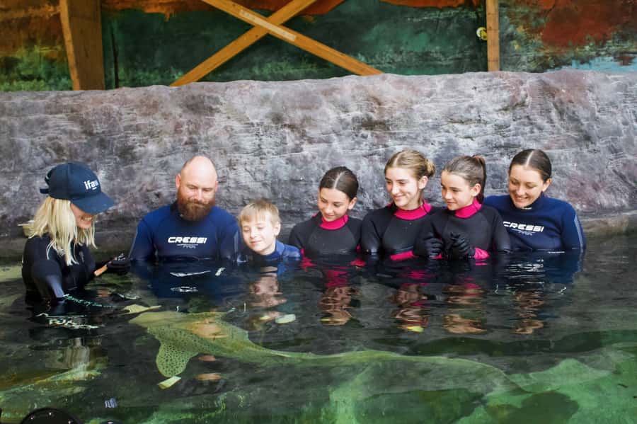 Anna Bay: Irukandji Entry Pass with Zebra Shark Encounter - The 20-minute zebra shark encounter, small-group intensity (in a good way)