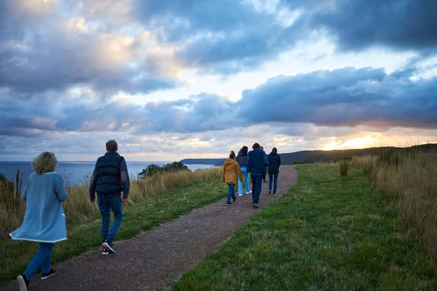 Apollo Bay: Dusk Discovery Great Ocean Road Wildlife Tour - Key things I’d plan around
