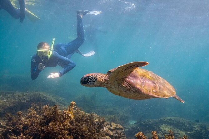 Aquascene Circumnavigation Magnetic Island Tour - 5 Hours Around Magnetic Island: What the Circumnavigation Really Delivers