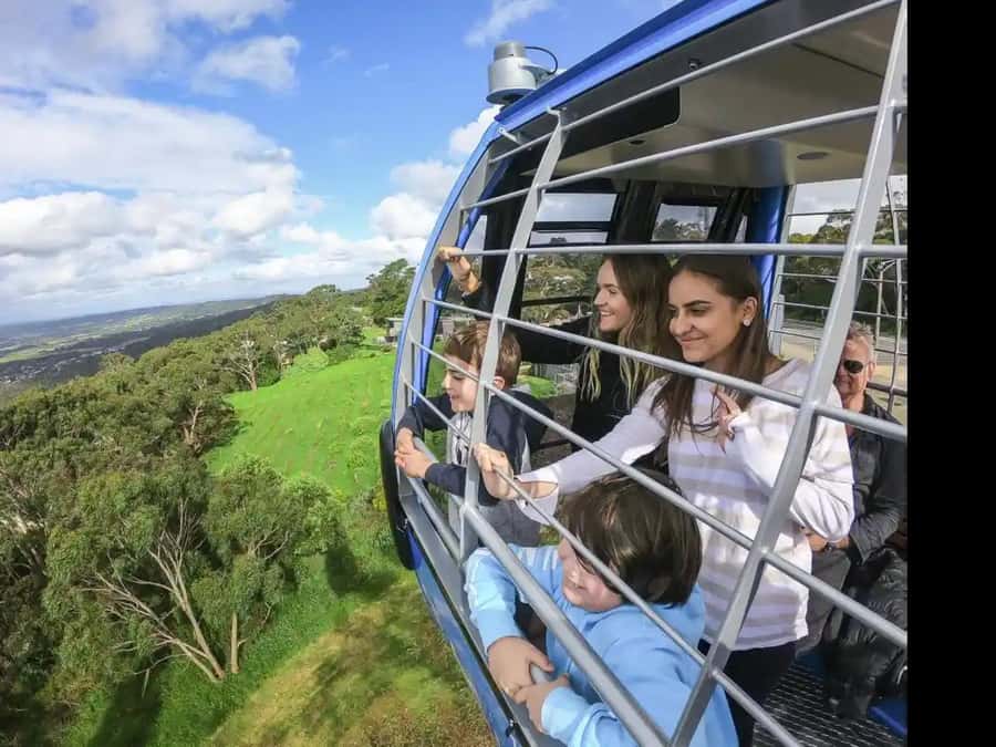 Arthurs Seat Eagle: Scenic Gondola Ride - Key Highlights at a Glance