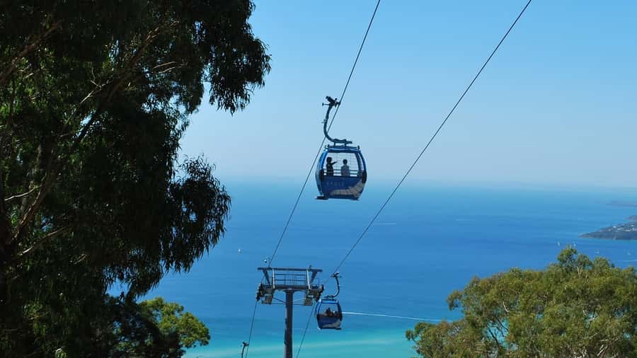 Arthurs Seat Eagle: Scenic Gondola Ride - Arthurs Seat Eagle in Plain English: What You’re Actually Doing