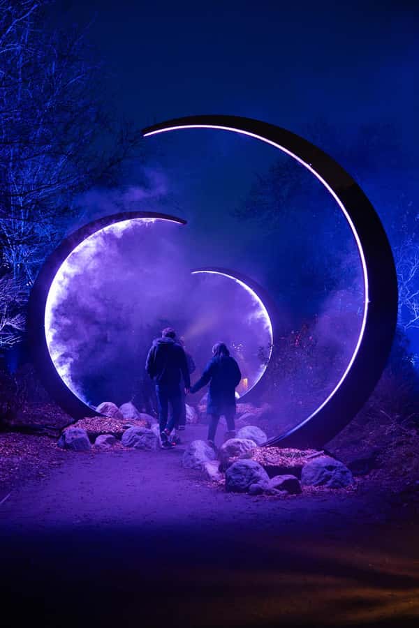 Astra Lumina Entry at Currumbin Wildlife Sanctuary - Key things to know before you go