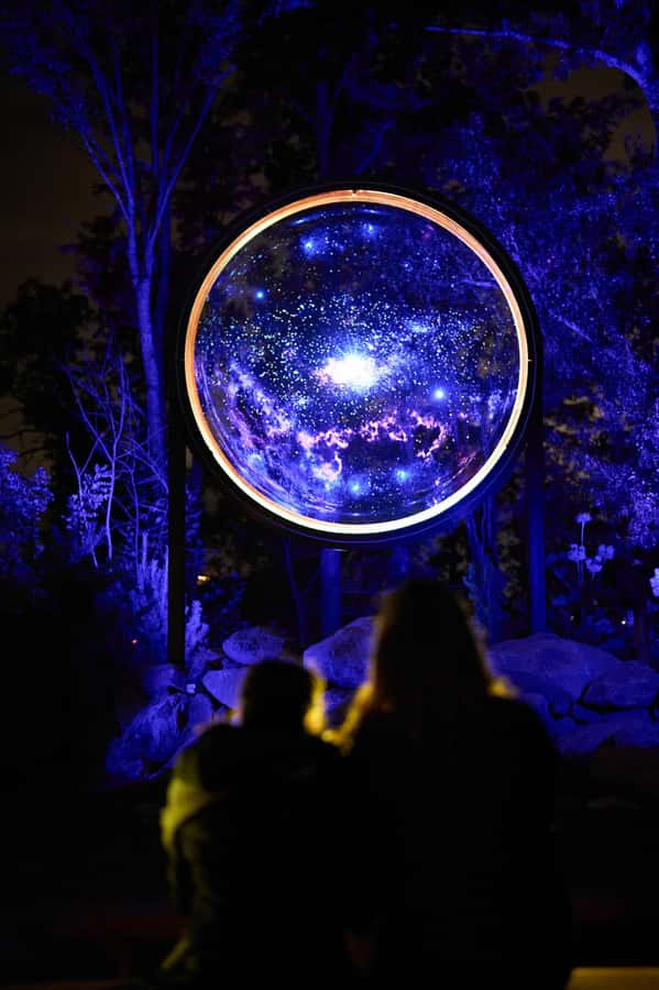 Astra Lumina Entry at Currumbin Wildlife Sanctuary - Should you book Astra Lumina Entry at Currumbin?