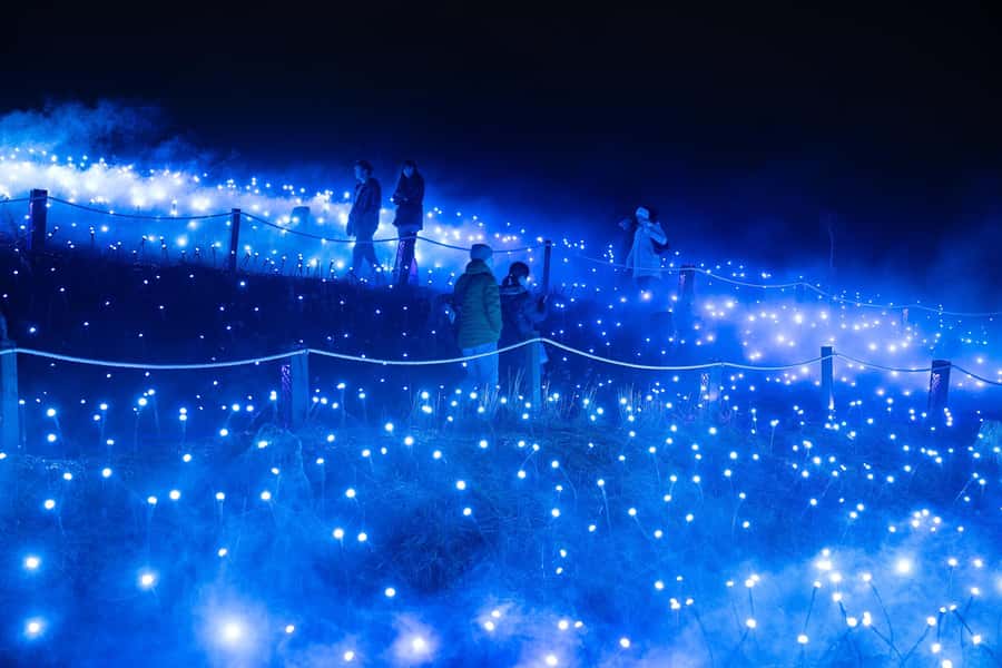 Astra Lumina Entry at Currumbin Wildlife Sanctuary - FAQ
