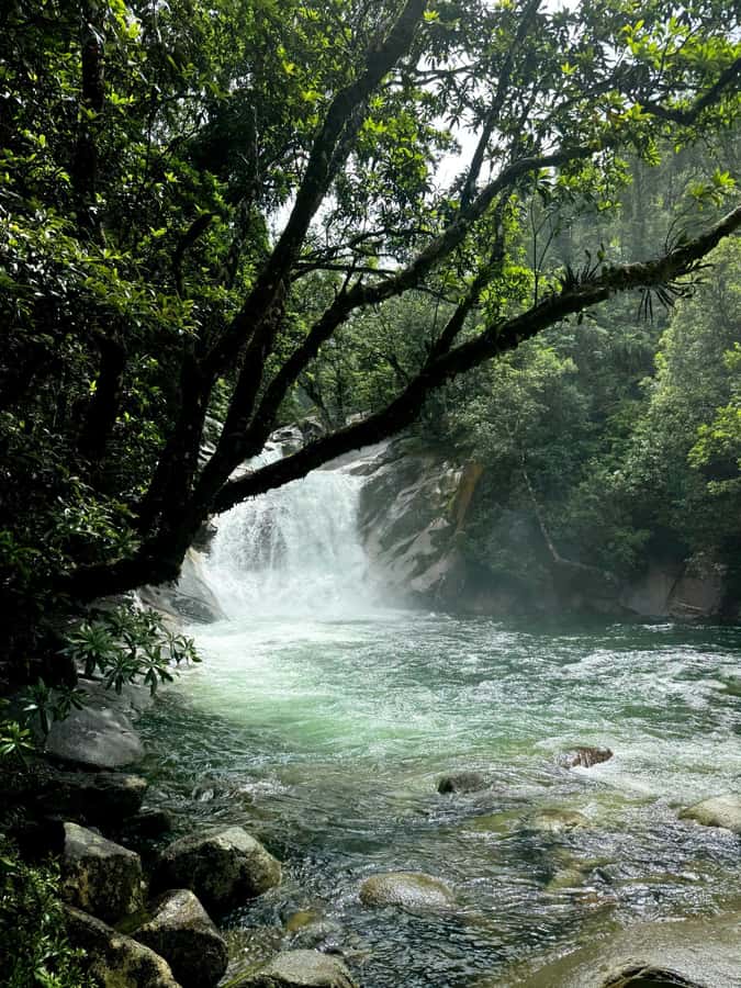 Atherton Tablelands: Lakes, Waterfalls, Rainforest Day Tour - Food, park fees, and why $119 can make sense