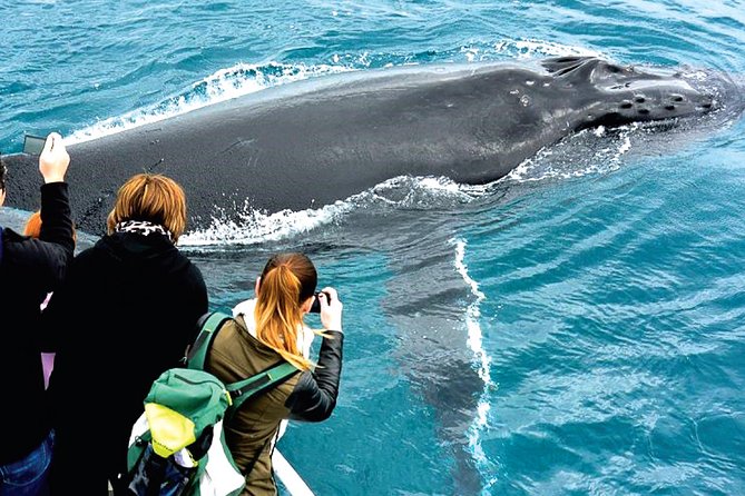 Augusta Whale Watching Eco Tour - Tea, coffee, and biscuits: the small inclusion that makes it feel complete