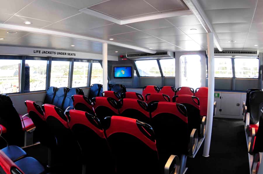 Augusta: Whale Watching Tour - Who should book this Augusta whale watching tour