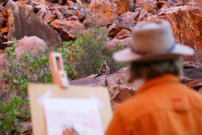 Ayers Rock Day Trip from Alice Springs Including BBQ Dinner - Price and what you really get (including the 2026 park pass change)