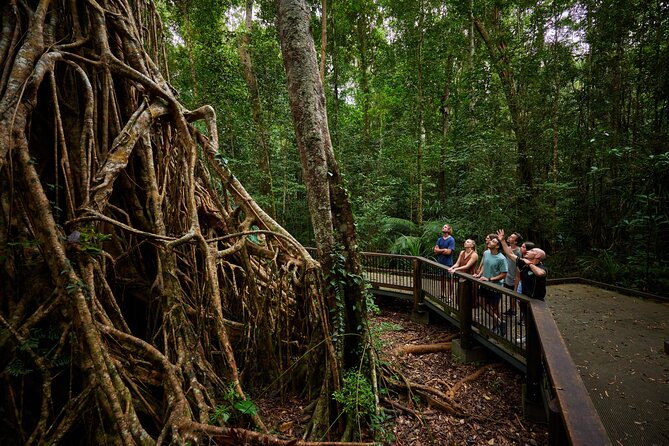 Barefoot Atherton Tablelands Adventure by Cairns Waterfalls - Getting started in Cairns: 7:30 am pickup and a full day rhythm
