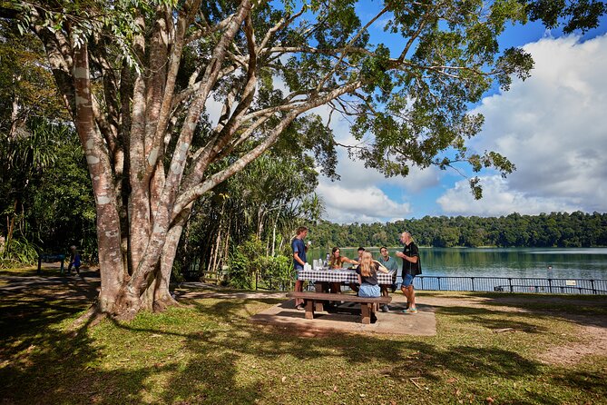 Barefoot Atherton Tablelands Adventure by Cairns Waterfalls - The Cathedral Fig Tree: the 500-year strangler fig moment
