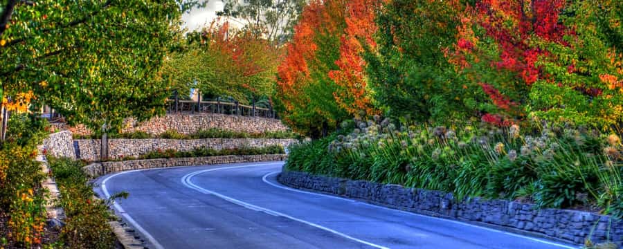 Barossa and Hahndorf Hill Tour - Maggie Beer in Barossa: coffee, kitchen displays, and shopping time