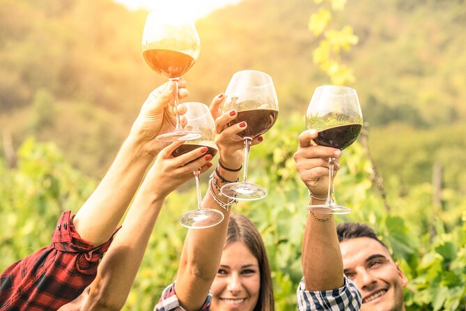 Barossa and Hahndorf Wine Tasting and Sightseeing Tour - Key things that make this tour worth your attention