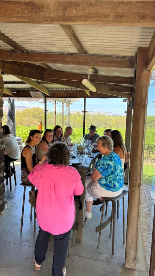 "Barossa Tour from Adelaide: 4 Tastings & Lunch Included" - Hemera Estate or Langmeil Winery: Two Tastings, Two Styles