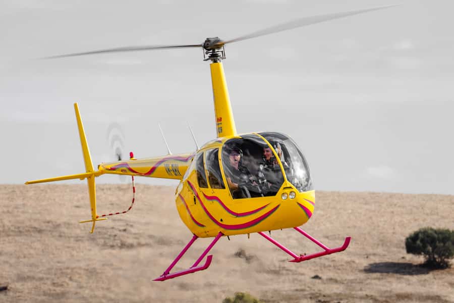 Barossa Valley: 10-Minute Scenic Helicopter Flight - Key highlights you’ll feel right away