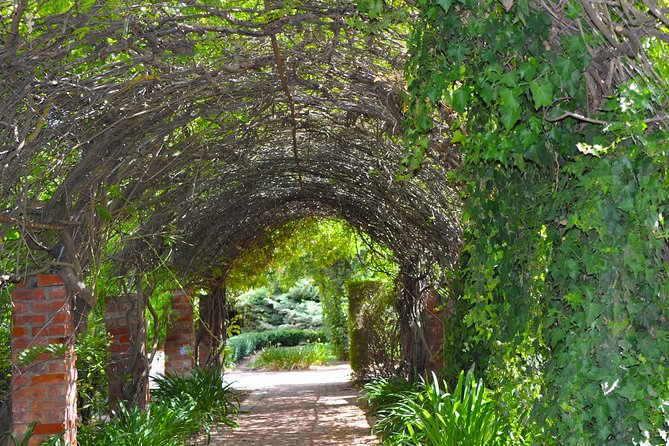 Barossa Valley Cellar Door Small Group Tour - Price and Value: Why $161.38 Is Not Just a Random Wine Number