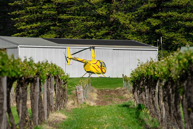 Barossa Valley Deluxe: 30-Minute Helicopter Flight - Safety and nerves: why this flight works for first-timers and big birthdays