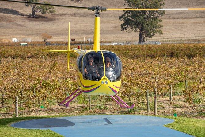 Barossa Valley Deluxe: 30-Minute Helicopter Flight - Weather and the reality of flying over the vines
