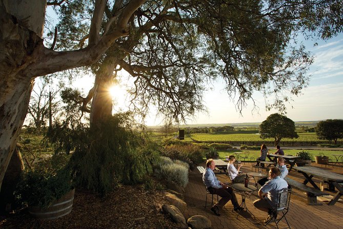 Barossa Valley Hop-On Hop-Off Wine Tour - Pick 4 stops wisely: Maggie Beer, Saltram, Yalumba, and classic Barossa eats