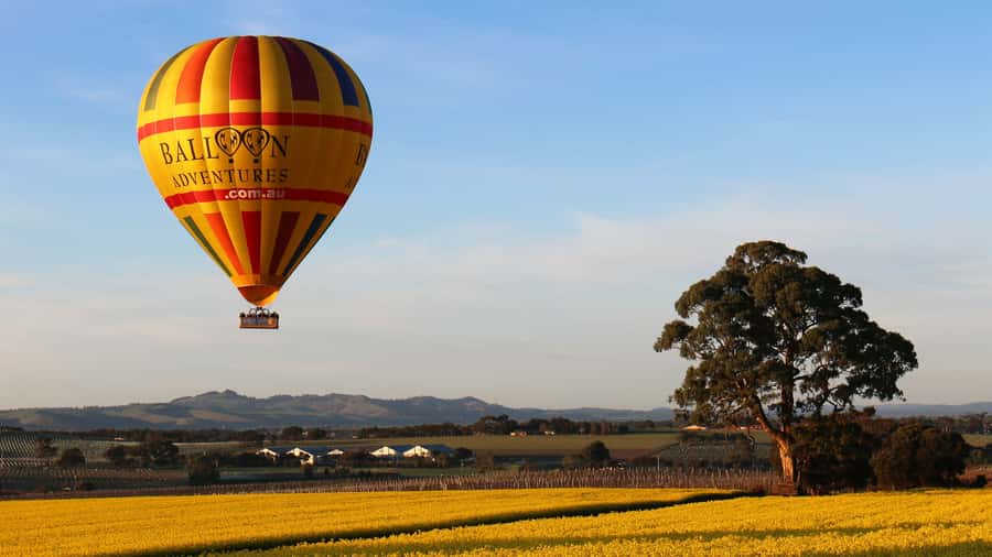 Barossa Valley: Hot Air Balloon Flight - The Drive Through Barossa: Comfortable, Practical, Scenic
