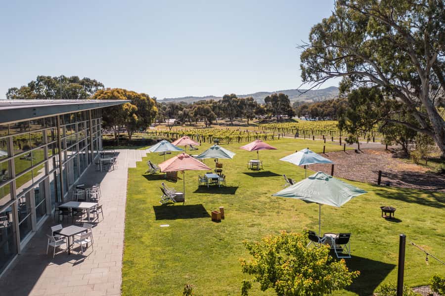 Barossa Valley: Jacob's Creek Perfect Picnic - Welcome Desk to vineyard tour: sparkling first, then the vines