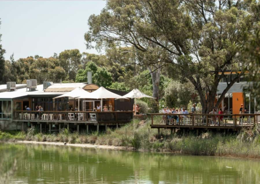 Barossa Valley: Maggie Beer's Wine Tasting & Cheese Platter - Key moments worth planning for