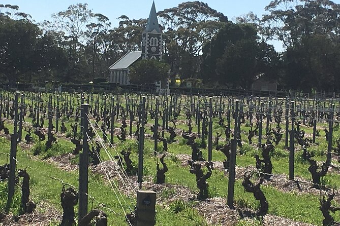 Barossa Valley Private Luxury Tour Full Day - The 9:00 am Start, Pickup, and How Timing Usually Works