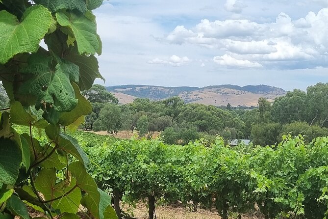 Barossa Valley Shared Tour with Wine Tasting and Lunch - Photo stops and cultural moments around Marananga