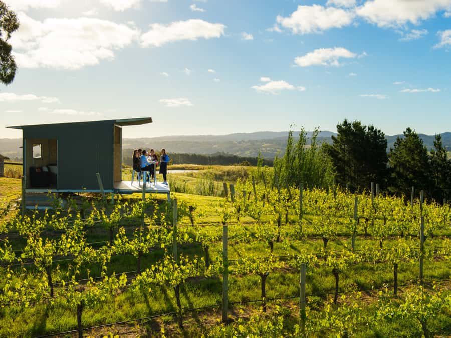 Barossa Wine Tour: Small Group 8 max, Rare, Unique, Premium - Key Things You’ll Notice Right Away
