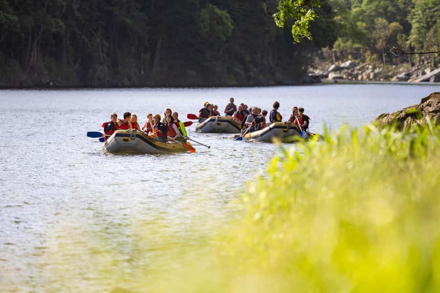 Barron Gorge: Half-Day Barron River White-Water Rafting - Price reality check: River Levy, photos, and rental add-ons
